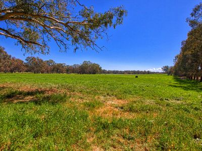 . Murray Valley Highway, Bonegilla