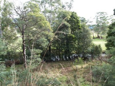 263 Woolleys Road, Lonnavale