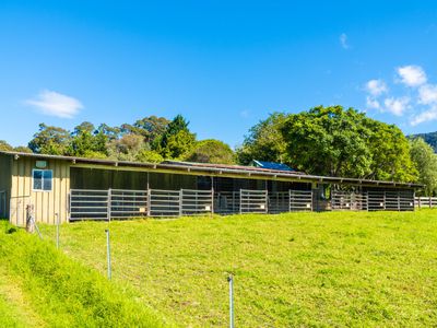 182 Punkalla Tilba Road, Central Tilba