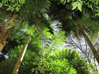 7 High Street, Nimbin