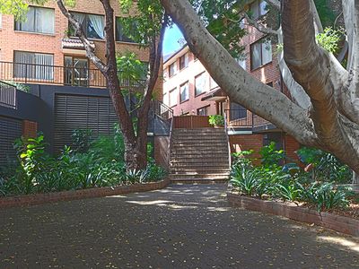59 / 492-500 Elizabeth Street, Surry Hills