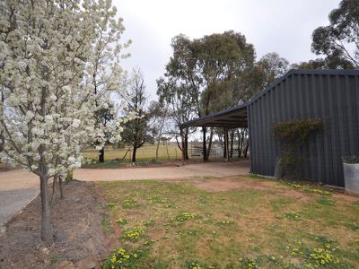 209 Axedale Goornong Road, Axedale