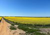 Staehrs Road, Nhill