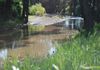 * Boomey Stud   - Euchareena Road, Molong