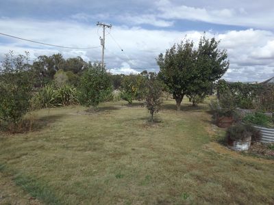 Glen Innes Road, Emmaville