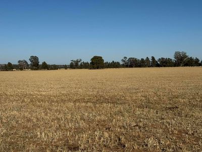 342 Olieview Road, Parkes