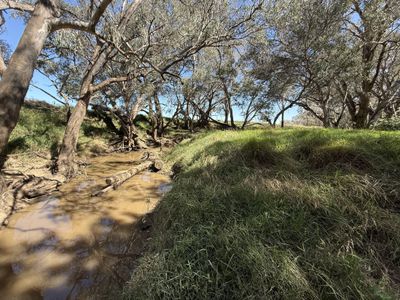 2255 Newell Highway, Tichborne