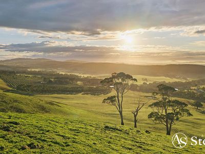 260 & 310 Mt William Road, Goldie