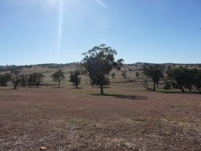 Boxwood Park Road, Bungowannah