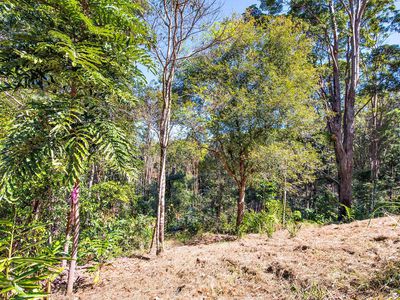135 Mafeking Road, Goonengerry