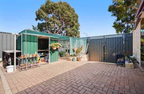17 Bettong Street, Baldivis