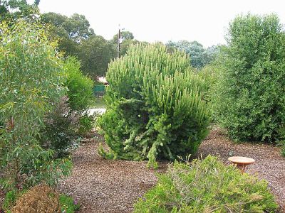 2 Crouch Street ( at Caveton), Mount Gambier
