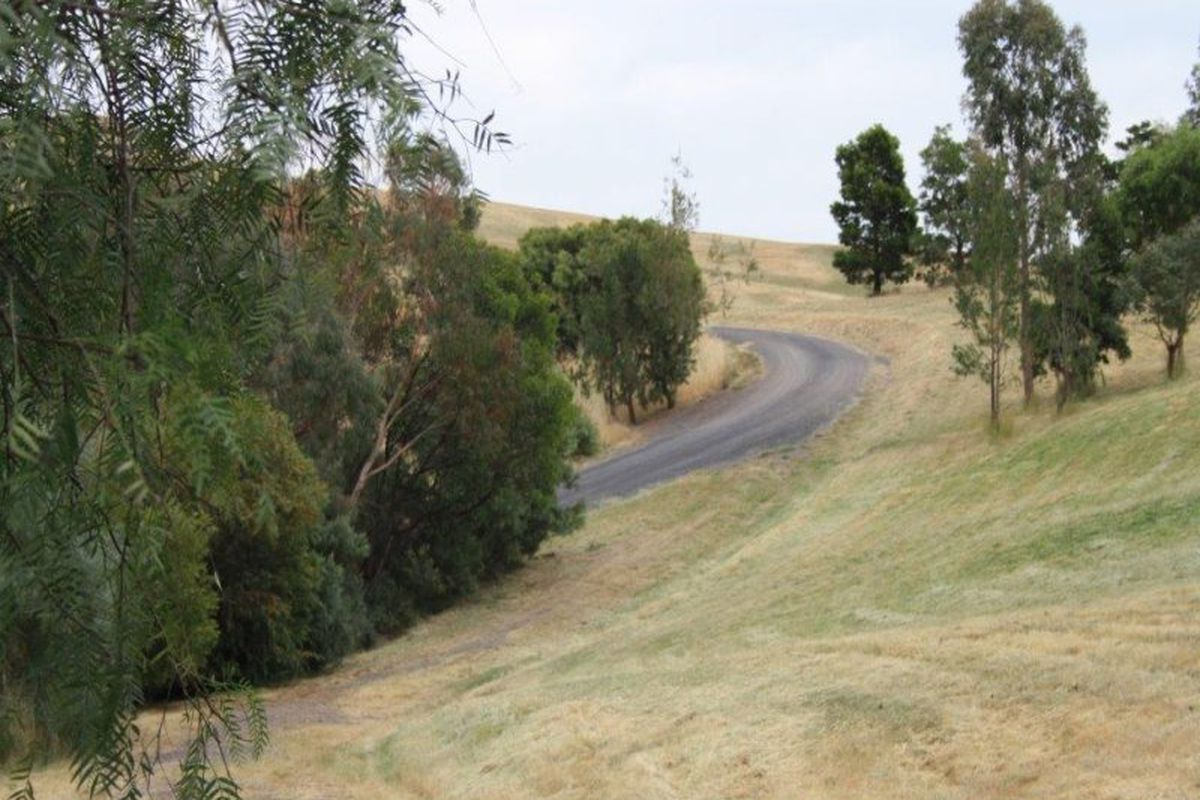 1305 Mount Buller Road, Merrijig