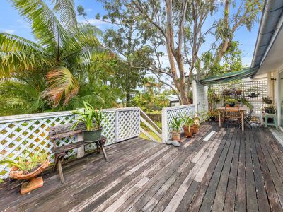 49 Ward Street, Tewantin