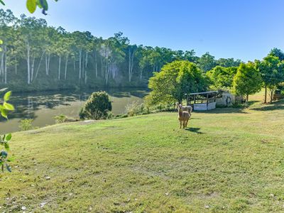 71 President Circle, Karalee