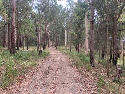 Lot 308 Kangaroo Drive, Beechwood