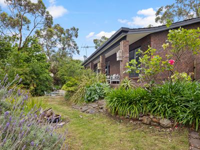264 Ackland Hill Road, Coromandel East