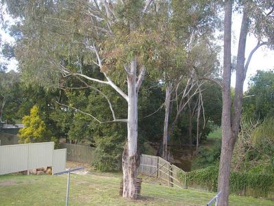 Bundamba