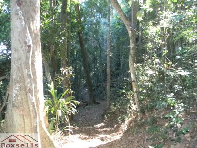 Maleny