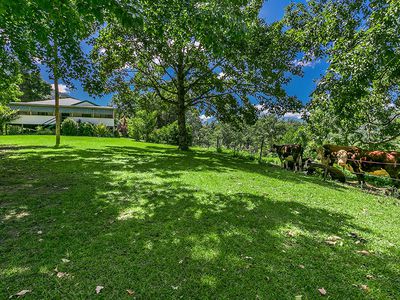 442 Blue Knob Road, Nimbin
