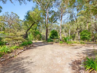 343 Bingie Road, Bingie