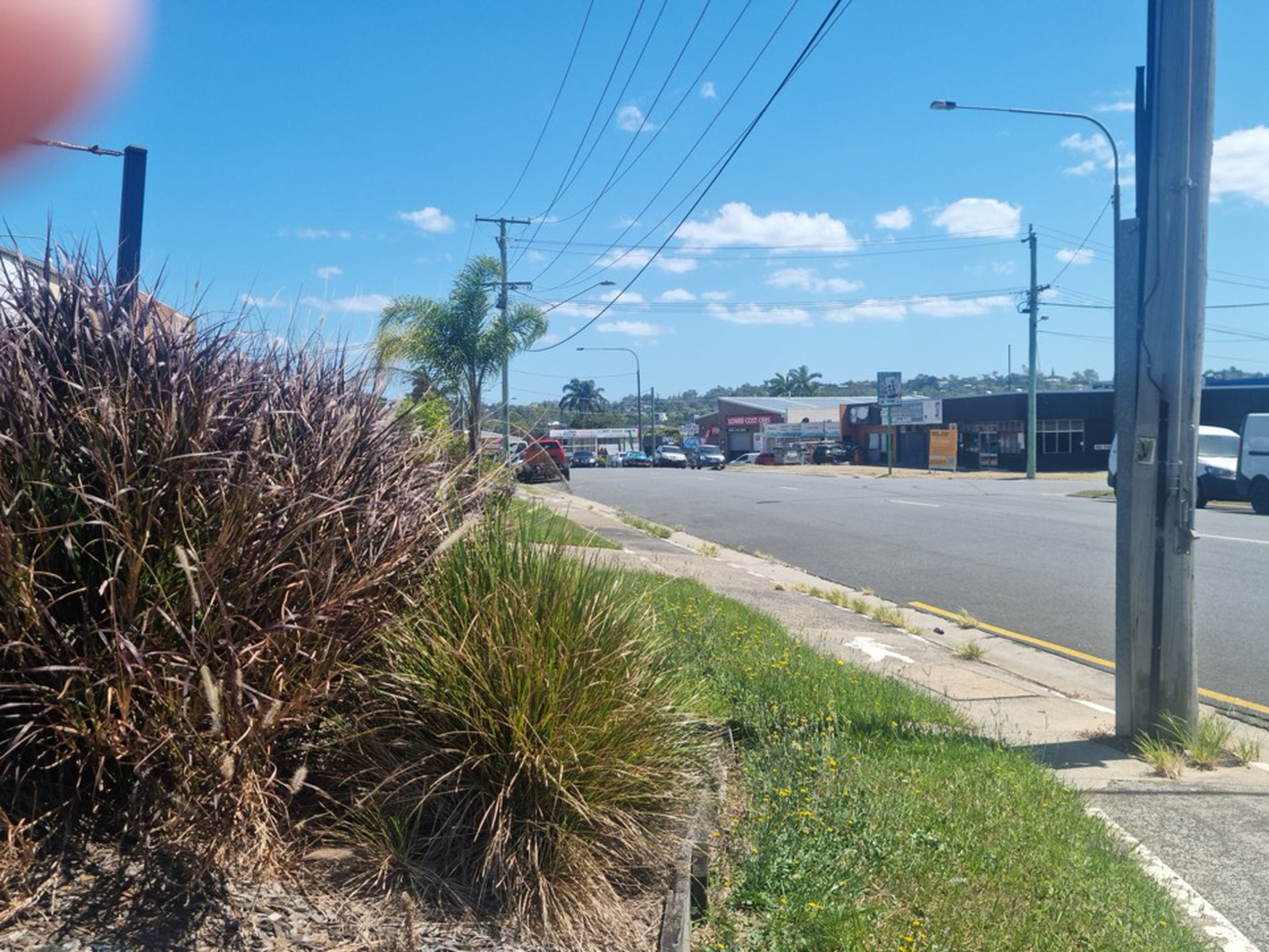 Logan Picture Framing