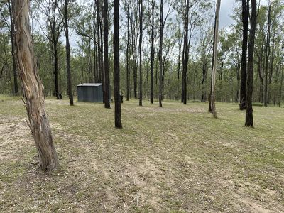 Wattle Camp
