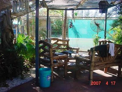 38 Moorambine Street, Wedgefield