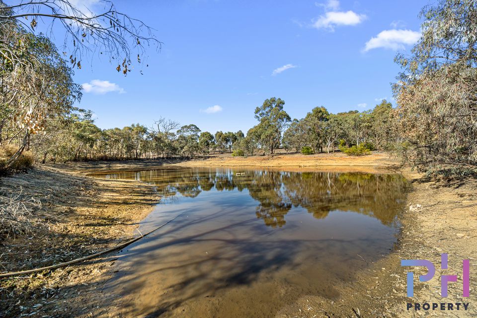 19 Trent Court, Axe Creek