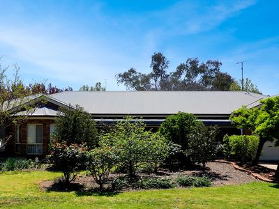 33 Cedar Street, West Wyalong