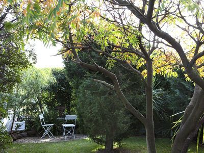 1 / 724 Hawthorn Road, Brighton East