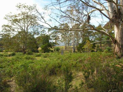 Eld Road, Lonnavale