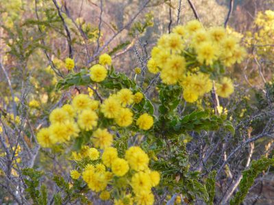 370 Quarry- Dookie Road, Dookie