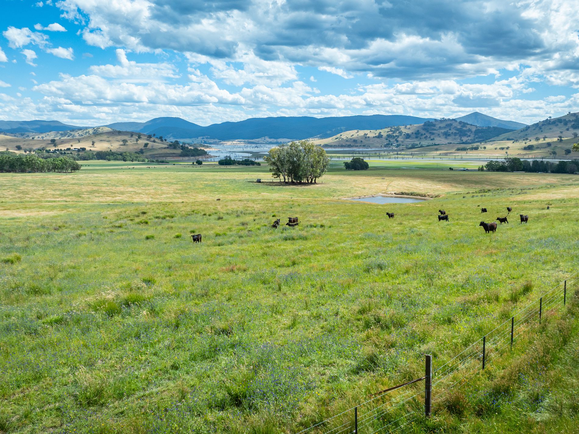 4118 Murray River Road, Thologolong