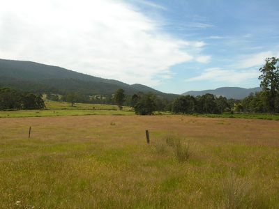 Eld Road, Lonnavale