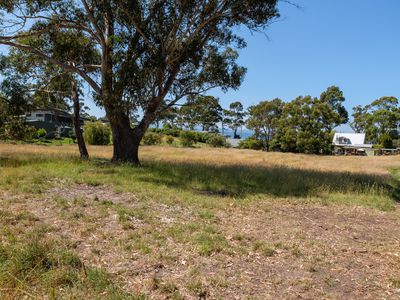 22 Dunn Drive, Surveyors Bay