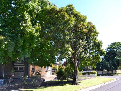 16 Wallace Street , Mount Beauty