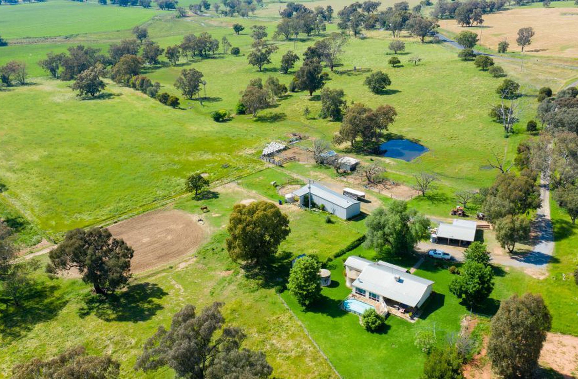 4610 Muttama Road, Cootamundra Paul Pace Country (NSW)