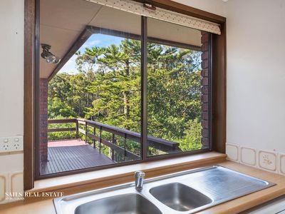 41 Pacific Way, Tura Beach