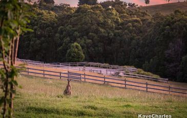 82 Downey Road, Dewhurst