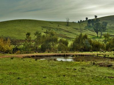 Lot 2, 101 Mcfarlanes Road, Granya