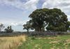 ‘Terutani’ 1097 Davys Plains Road, Cudal