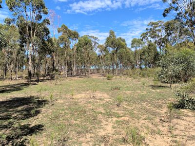 Lot 19J, Mt Camel-Graytown Road, Redcastle