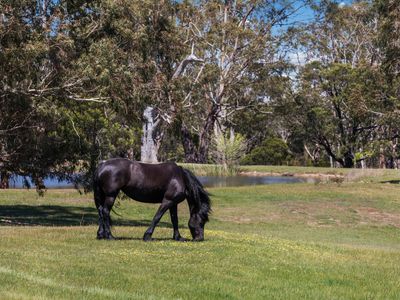 61 Waterfalls Road, Mount Macedon