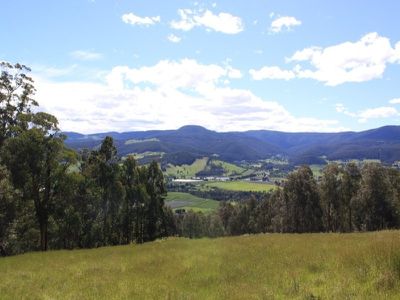 47 Allens Road, Grove