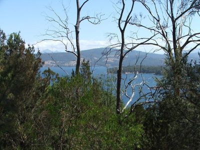 109 Williams Road, Randalls Bay
