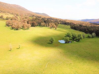 Meadow Flat