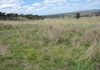 Lot 101, 2187 Euchareena Road, Molong