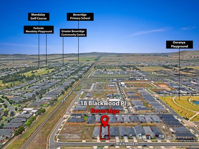 18 Blackwood Place, Beveridge