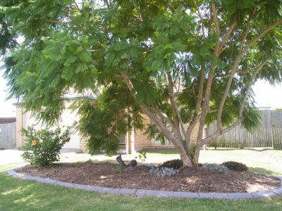 8 Glengarry Lane, Raceview